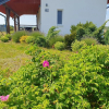 Отель Fantastic House, Located Among Meadows and Nature, Near the Sea, фото 21