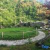 Отель Hangzhou Nongfu Lu Homestay, фото 9