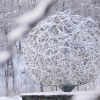 Отель Wild Caribou Dome, фото 11
