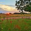 Отель Le Cottage Duo Vigne Rouge Sauna Gaillac entre Albi Toulouse & Les Cottages du Tarn, фото 3