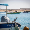 Отель Port Ghalib Marina Residence, фото 20