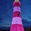 Отель The Retreat Guest House on Plymouth Hoe, фото 14