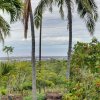 Отель Breezy Kailua-kona Bungalow w/ Lanai & Ocean View!, фото 14