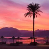 Отель Jimmy Hotel Dahab, фото 14