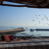 Отель Art riad au bord de la mer, фото 18
