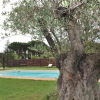 Отель B&B Cuor Di Lavanda, фото 16