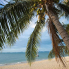 Отель Sam-kah Karibu Beach House, фото 14