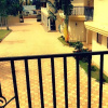 Отель Naf Apartments - Mtwara, фото 4