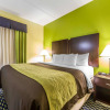 Отель Comfort Inn Athens, фото 35