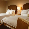 Отель Dauphine Orleans Hotel, фото 25