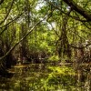 Отель Riverbank Bentota, фото 27