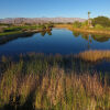 Отель Borrego Springs Resort & Spa, фото 22