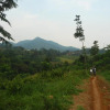 Отель Bule Homestay Cianjur, фото 1