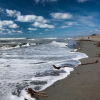 Отель Drifting Sands Beachfront B&B, фото 17