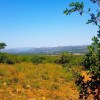 Отель Rocky Hollow Guest Farm, фото 20