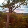 Отель Tanna Volcano View Treehouse, фото 7