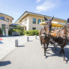 Отель Seehotel Rheinsberg, фото 36