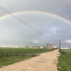 Отель Karim's Sahel в Бейт-Аль-Дине