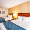 Отель Comfort Inn Falls Church - Tysons Corner, фото 6