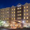 Отель Staybridge Suites Buffalo-Amherst, an IHG Hotel, фото 23