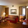 Отель TownePlace Suites Marriott Minneapolis St Paul AirportEagan, фото 8
