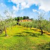 Отель small village of beautiful apartments in the green Tuscan hills and olive groves, фото 21