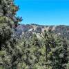 Отель Crazy Bear Lookout-1778 by Big Bear Vacations, фото 23