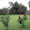 Отель pousada  rio de contas, фото 17