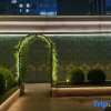 Отель Mercure Hangzhou Xixi Zijingang, фото 8