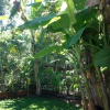 Отель Midigama Villa Resort, фото 18