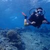 Отель Hoga Island Dive Resort Wakatobi, фото 31