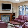 Отель Quality Inn And Suites Skyways, фото 6