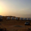 Отель Bedouin Oasis Camp, фото 14