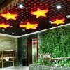 Отель Jinggangshan Red Culture Theme Hotel, фото 9