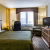 Отель Quality Inn & Suites Near the Theme Parks, фото 3