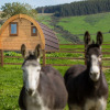 Отель Luxury two-bed Glamping Pod in County Clare, фото 9