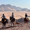 Отель Wadi Rum Wanderlust Camp, фото 9