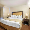 Отель Quality Inn And Suites Lethbridge, фото 20