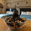 Отель OM Huatulco, фото 31