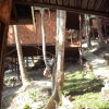Отель Phi Phi Power Beach Resort, фото 16