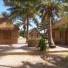 Отель Palm Grove Lodge, фото 17