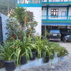 Отель Wangdi's Homestay, фото 1