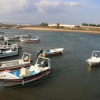 Отель Tavira City by My Tavira Stay, фото 13