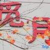 Отель Anji Seeking Moon Vacation and Leisure Homestay (Jiangnan Tianchi Branch), фото 4