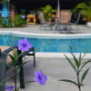 Отель Beach Break Resort, фото 12