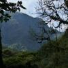 Отель El Refugio de Intag Cloud Forest Lodge, фото 11