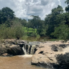 Отель Fazenda Santa Amalia, фото 14