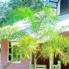 Отель Koh Kood's Home, фото 11