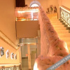 Отель Wan'an Holiday Hotel, фото 5