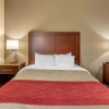 Отель Comfort Inn Walcott near Davenport, фото 4
